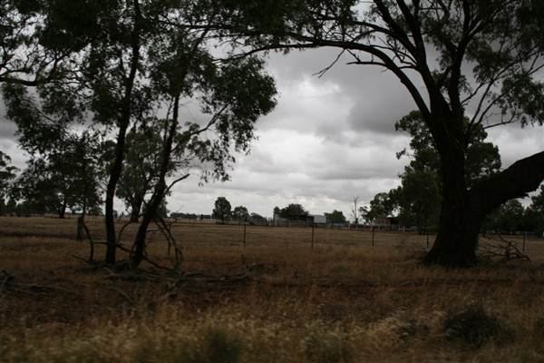 Collingullie (4/03/2013 10:37:09 AM)