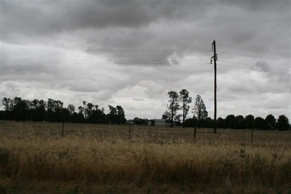 Collingullie (4/03/2013 10:38:02 AM)