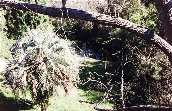 Cooper Park (4/03/2013 11:19:41 AM)