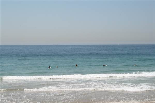 Cronulla Beach (4/03/2013 11:44:57 AM)