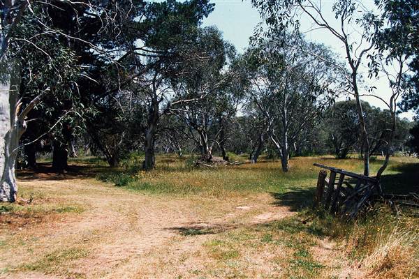 Currango Homestead (4/03/2013 12:12:02 PM)