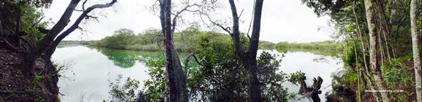 Northern Rivers Region (4/03/2013 1:54:17 PM)