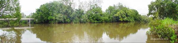 Northern Rivers Region (4/03/2013 1:54:29 PM)