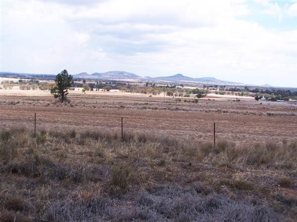 Gilgandra Rural Area (4/03/2013 4:40:15 PM)