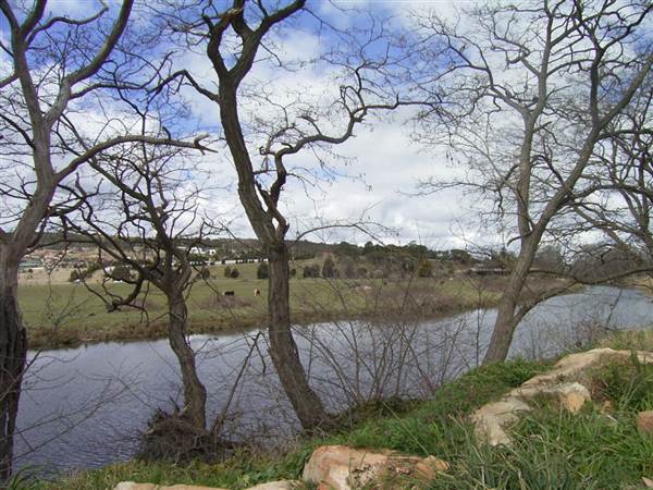 Goulburn Brewery (5/03/2013 11:18:49 AM)