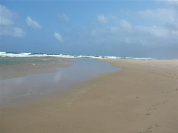 Killick Beach & Sand Dunes - Hat Head National Park (5/03/2013 7:29:50 PM)