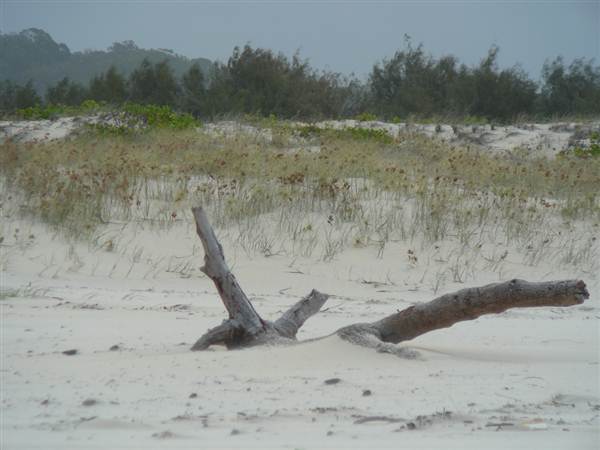 Killick Beach & Sand Dunes - Hat Head National Park (5/03/2013 7:30:14 PM)