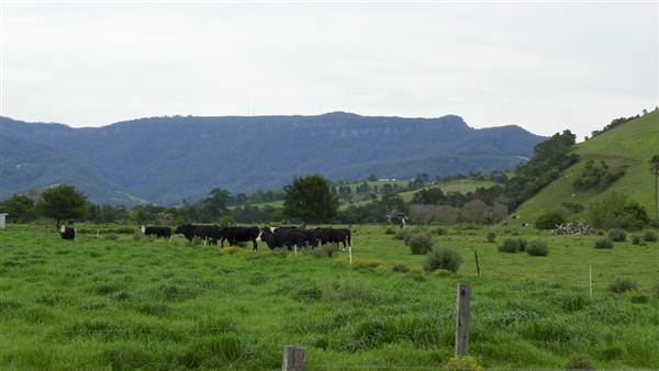 Jamberoo Browns Lane (5/03/2013 9:30:30 PM)