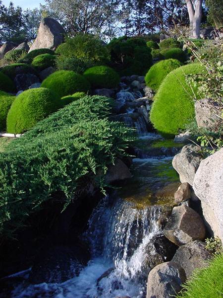 Japanese Gardens Cowra (5/03/2013 10:01:11 PM)