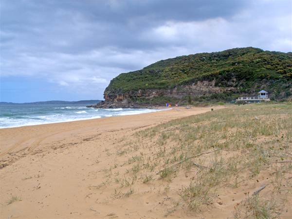 Putty Beach (6/03/2013 10:54:10 AM)