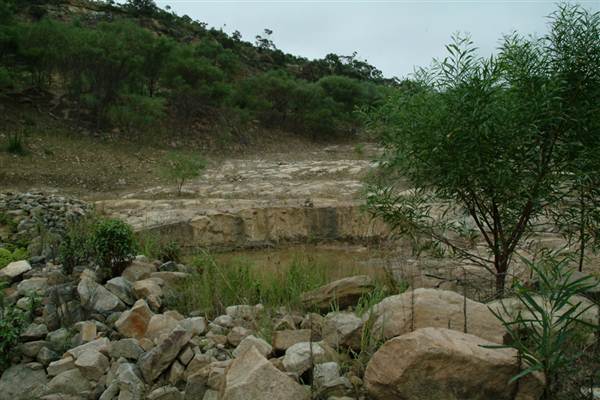 Kimbriki Resource Recovery Centre (6/03/2013 11:06:44 AM)