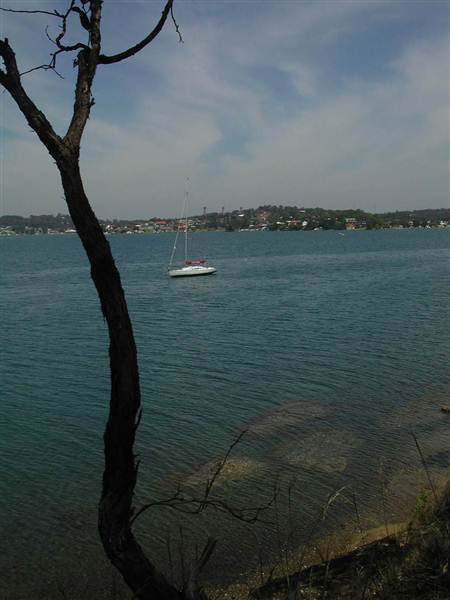 Lake Macquarie (6/03/2013 11:55:19 AM)