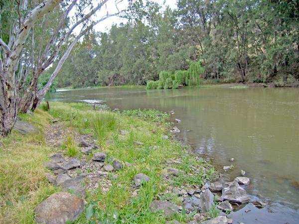 Lake Burrendong (6/03/2013 11:57:03 AM)