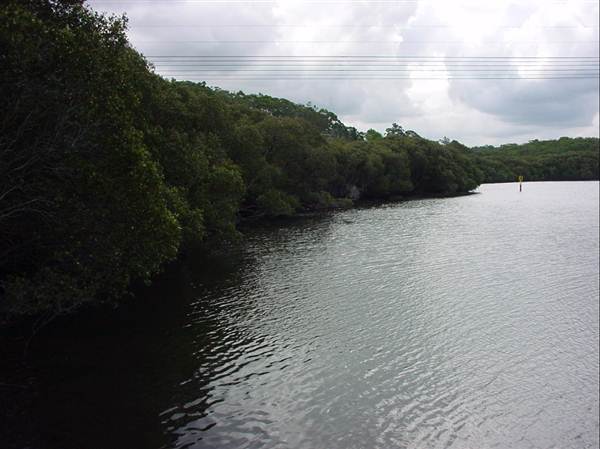 Lane Cove River (6/03/2013 12:07:47 PM)