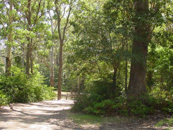 Lane Cove National Park (6/03/2013 12:12:09 PM)