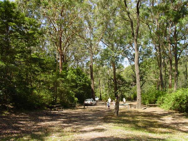 Lane Cove National Park (6/03/2013 12:13:14 PM)