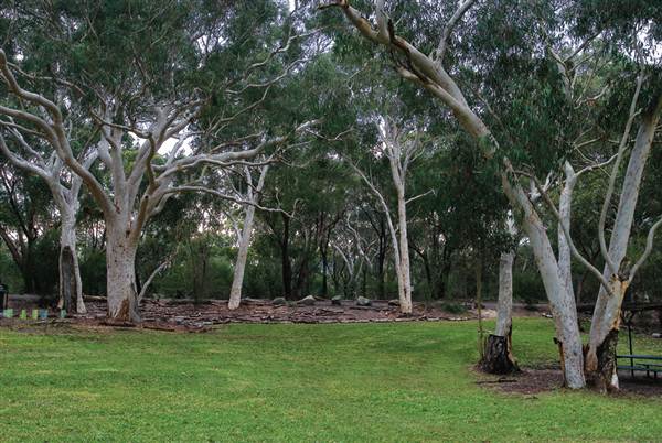 Lane Cove National Park (6/03/2013 12:15:02 PM)