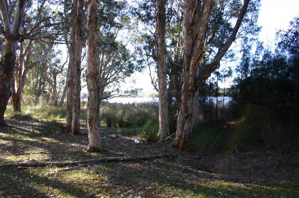 Myall Lakes National Park (6/03/2013 3:23:59 PM)