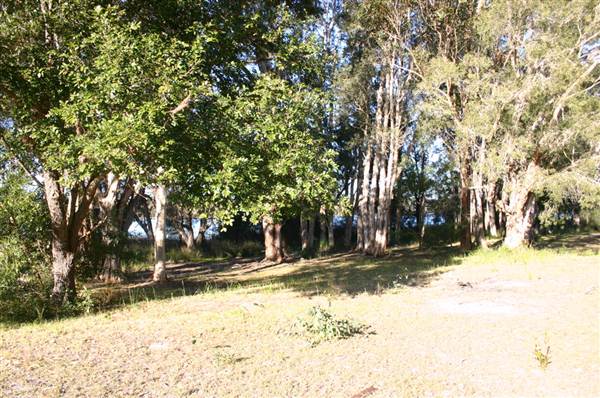 Myall Lakes National Park (6/03/2013 3:24:46 PM)