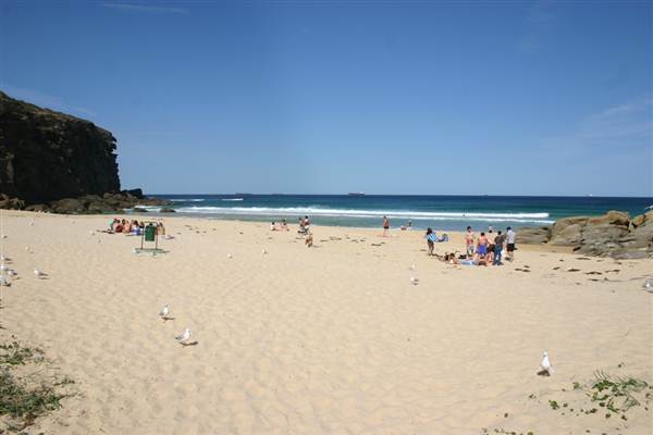 Redhead Beach (6/03/2013 4:13:52 PM)