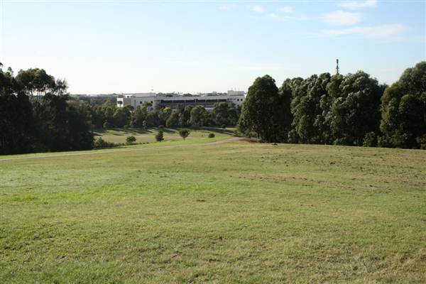 Sydney Park (6/03/2013 4:45:38 PM)