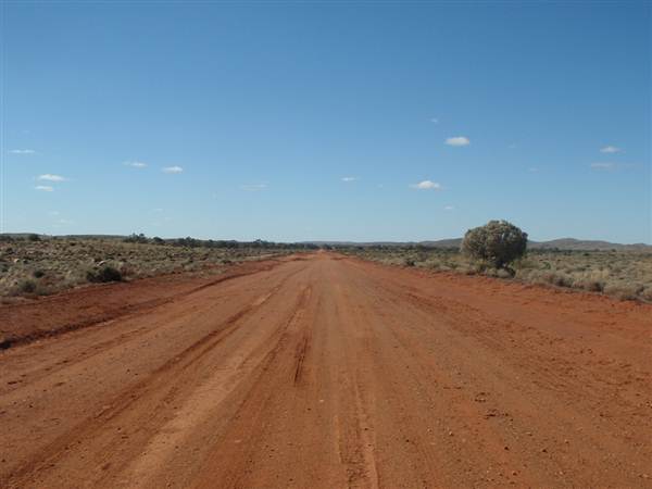 Nine Mile Road, 2012 (7/03/2013 4:16:50 AM)