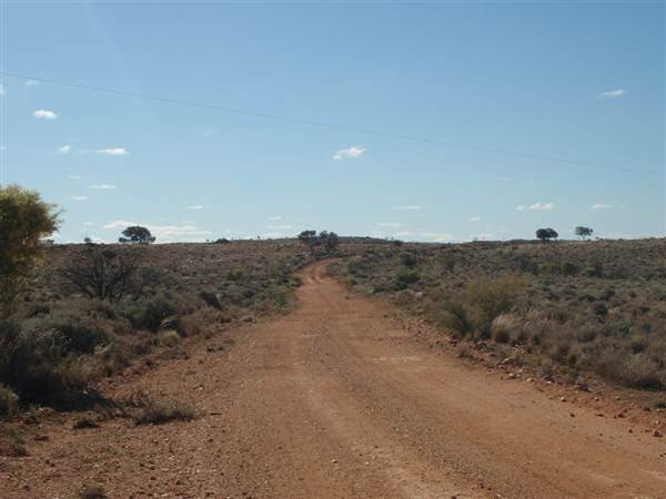 Nine Mile Road, 2012 (7/03/2013 4:19:44 AM)