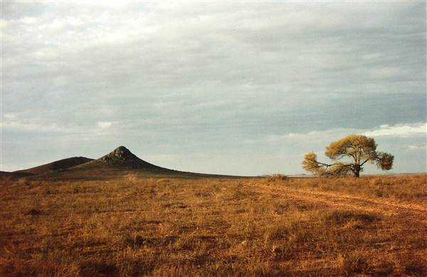 Pinnacles - Broken Hill (7/03/2013 6:15:01 AM)