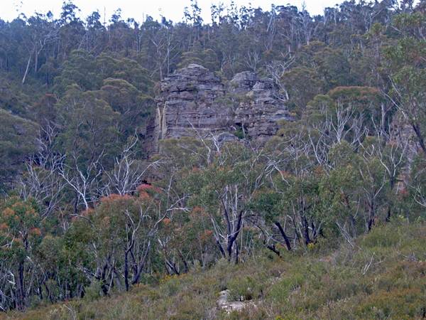 Lithgow Cliffs (7/03/2013 9:39:44 AM)