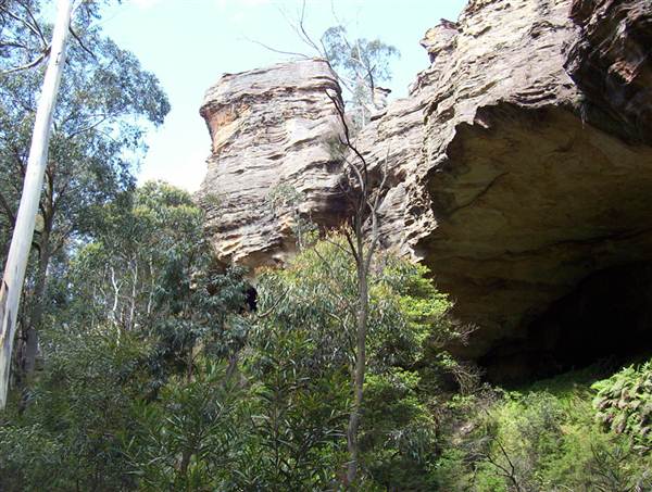 Lithgow Cliffs (7/03/2013 9:40:22 AM)