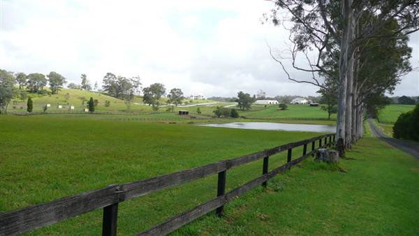 Lomar Park Stud (7/03/2013 10:01:21 AM)