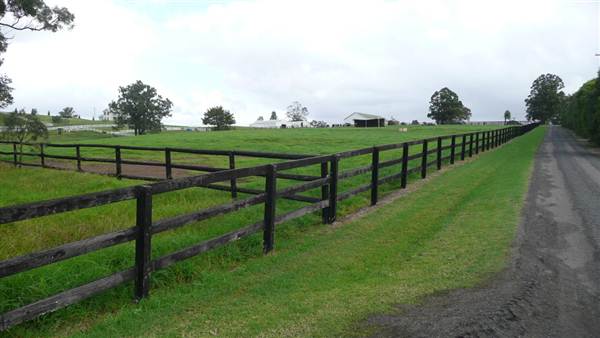 Lomar Park Stud (7/03/2013 10:03:50 AM)