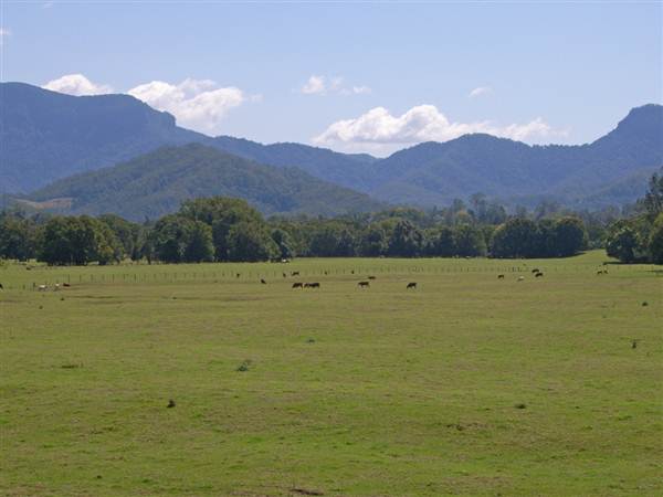Murwillumbah (7/03/2013 2:00:15 PM)