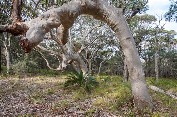 Murramarang National Park (7/03/2013 2:21:06 PM)