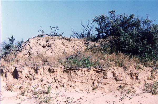 Milkengay Lake Sand Dunes (7/03/2013 11:04:28 PM)