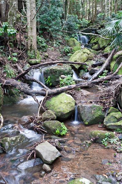 Minnamurra Falls (7/03/2013 11:41:16 PM)