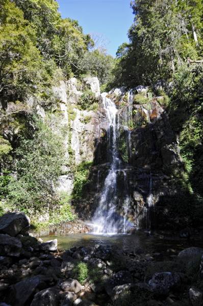 Minnamurra Falls (7/03/2013 11:43:04 PM)