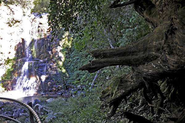 Minnamurra Falls (7/03/2013 11:43:50 PM)