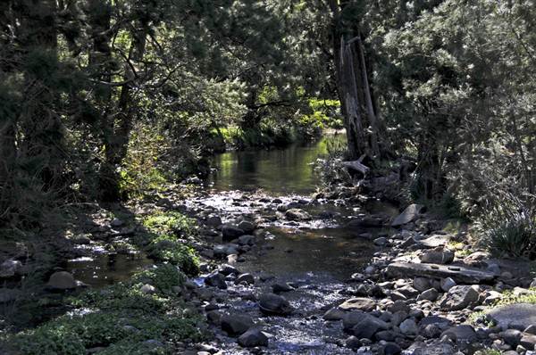 Minnamurra Falls (7/03/2013 11:44:40 PM)