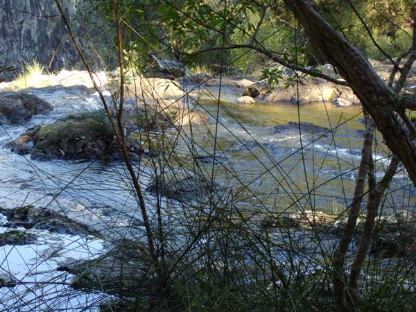 Minyon Falls - Nightcap National Park (7/03/2013 11:52:07 PM)