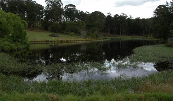 Moruya (8/03/2013 9:47:14 AM)