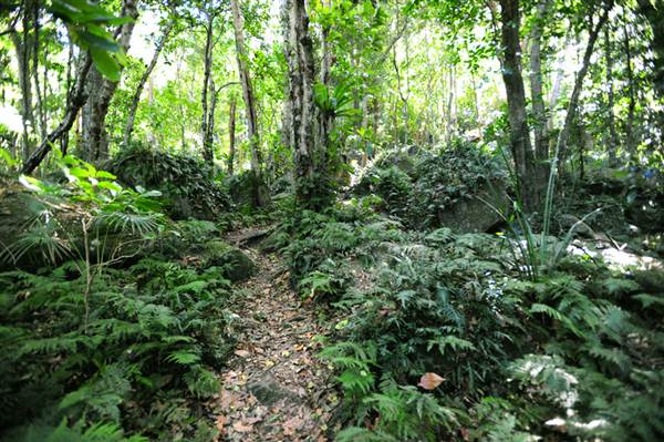 Mount Keira Scout Camp File 1 (8/03/2013 10:05:15 AM)