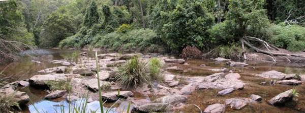 Royal National Park (8/03/2013 1:41:20 PM)