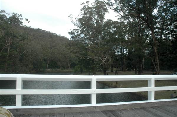 Royal National Park (8/03/2013 1:42:00 PM)