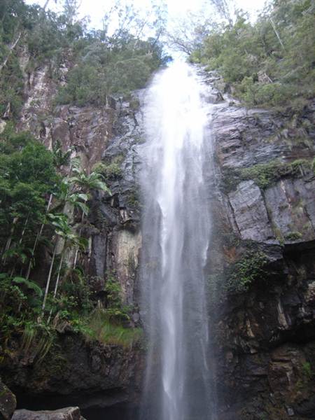 Terania Creek picnic area & Protesters Falls walking track (9/03/2013 1:40:09 AM)