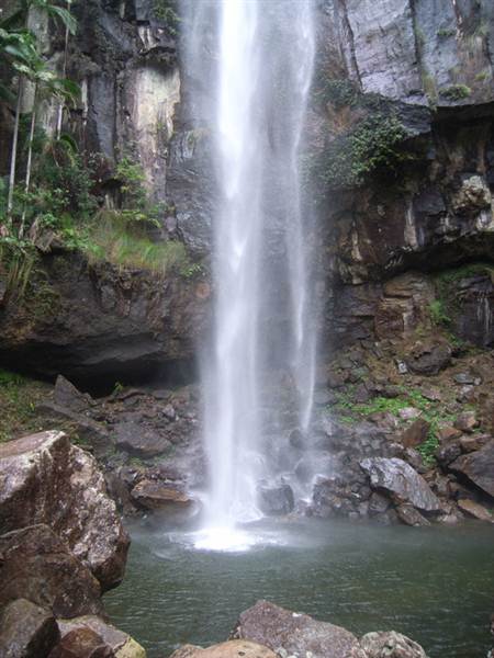 Terania Creek picnic area & Protesters Falls walking track (9/03/2013 1:40:24 AM)
