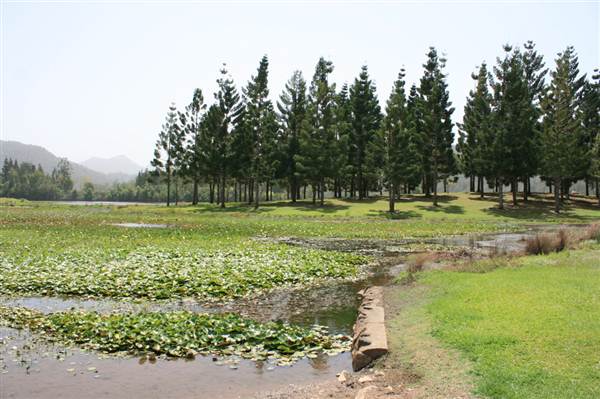 Clarrie Hall Dam (9/03/2013 1:51:09 AM)