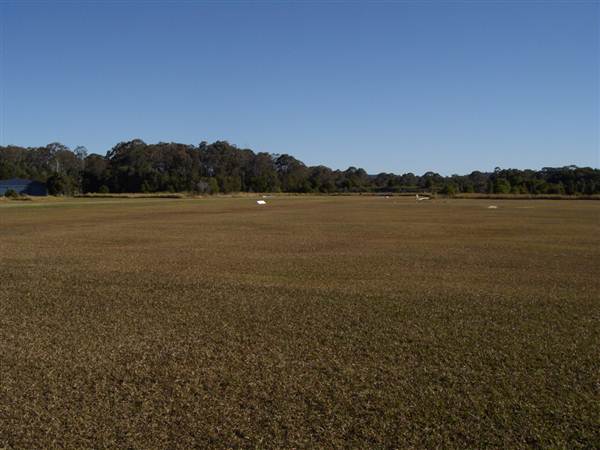 Tyagarah Airfield, Byron Bay (9/03/2013 1:53:49 AM)