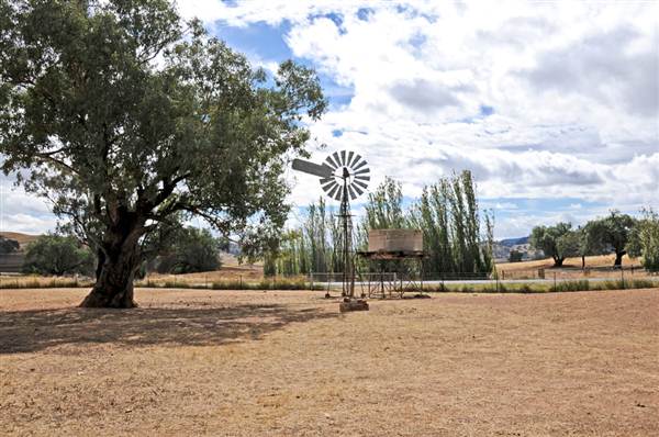Sheep Station (9/03/2013 3:04:02 AM)