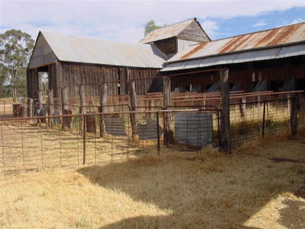 The Springs Homestead - Dubbo (9/03/2013 11:02:20 AM)